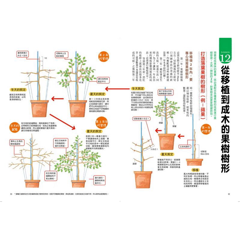 最高人氣果樹盆栽 免流汗 誰都種得活 看見開花又結果 大森直樹誠品eslite 蝦皮購物