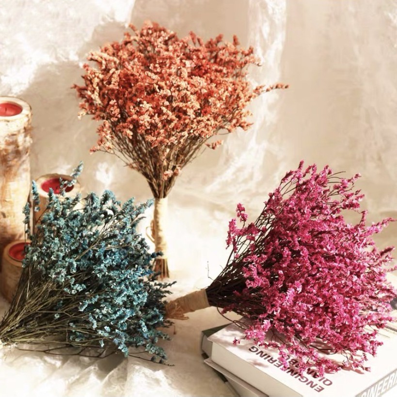永生水晶草永生花水晶花彩星捧花花束手作diy花材拍攝道具不凋花居家擺設花藝設計染色水晶花乾燥花 蝦皮購物