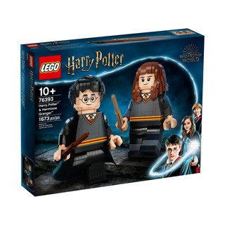 【樂GO】樂高 LEGO 76393 哈利波特&妙麗格蘭傑 大型人像  哈利波特系列 積木 盒組 玩具 禮物 正版