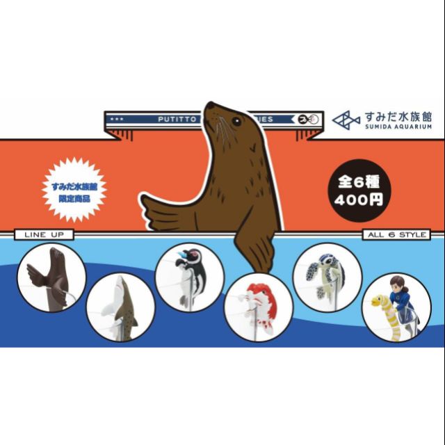 墨田水族館 杯緣子 鯊魚 海豹 烏龜