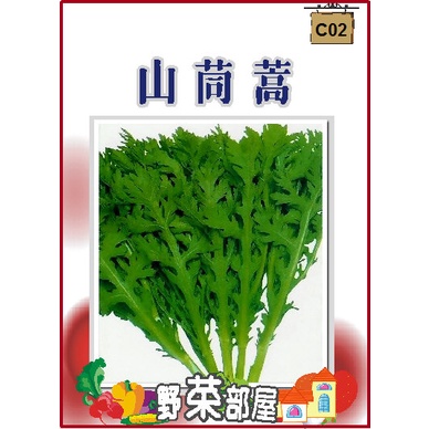 【野菜部屋~】C02 日本山茼蒿種子5.2公克 , 又名"春菊" , 每包16元~