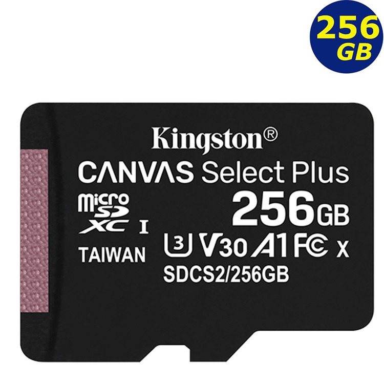 Kingston 256GB 256G microSDXC 100MB/s  microSD U3 金士頓記憶卡