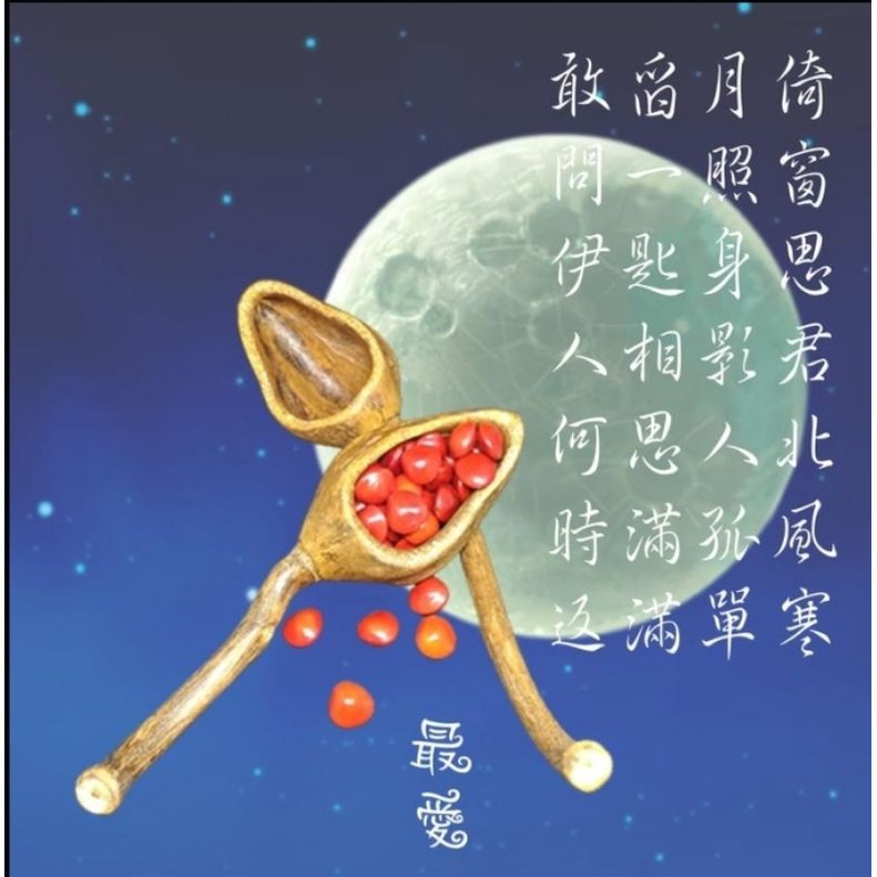 種子藝術創作＞＞＞桃花心木匙（一支）