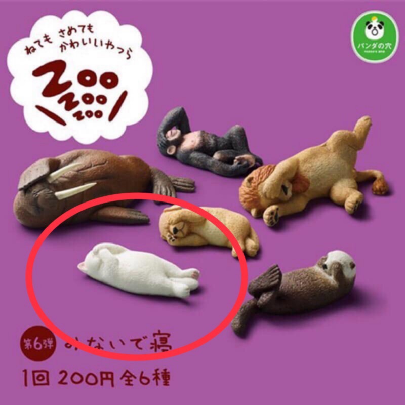 24小時出貨 扭蛋 休眠動物園6 白貓