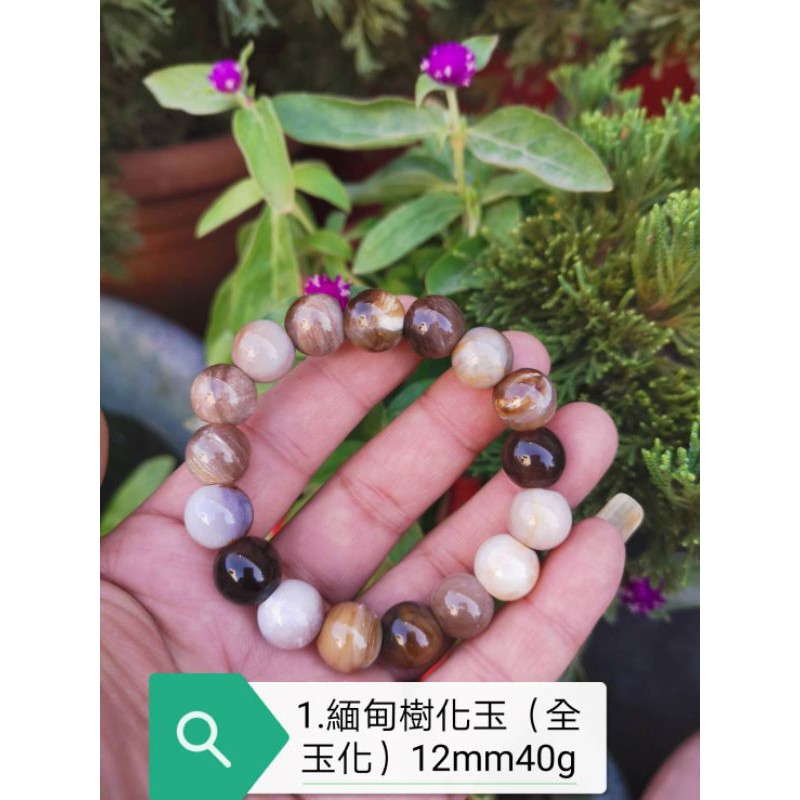 12咪樹化玉 木化玉手珠 蝦皮購物