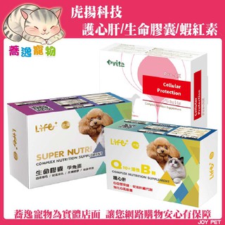 免運 虎揚科技 ivita Pro-Ax 蝦紅素/生命膠囊(甲魚蛋) 60顆膠囊