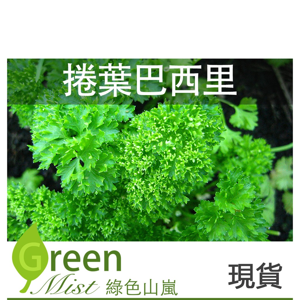 巴西利葉 Ptt與dcard推薦網拍商品 2021年12月 飛比價格