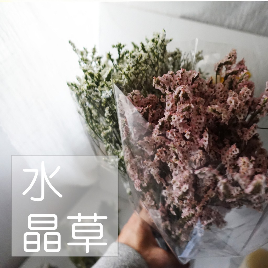My Wonderful 16色乾燥花材1束 39 水晶草 水晶花 彩星 婚禮永生花束 手做diy捧花藝 蝦皮購物