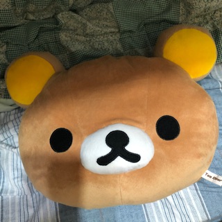 拉拉熊 抱枕 娃娃 枕頭 熊熊 小熊 趴趴熊 二手🐻