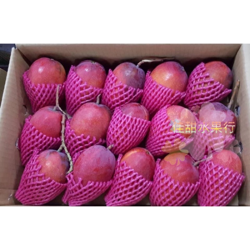 屏東枋山在欉紅愛文芒果🥭