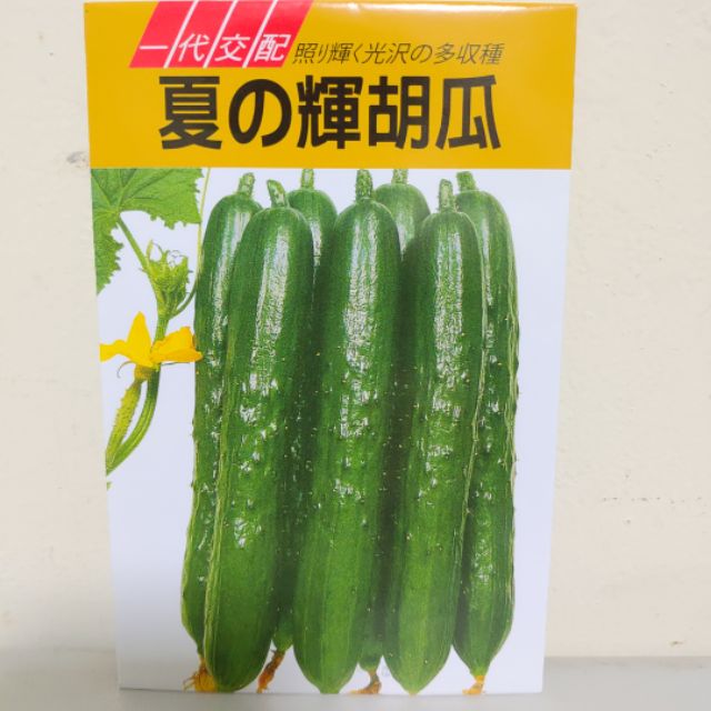 蔬果種子#日本進口種子 #一代交配  『小黃瓜』『夏の輝胡瓜』