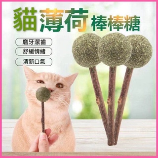 台灣🇹🇼現貨 24H出貨 貓薄荷棒棒糖 貓咪玩具 貓玩具 貓薄荷球 貓咪磨牙玩具 逗貓玩具 逗貓球 貓草 木天蓼
