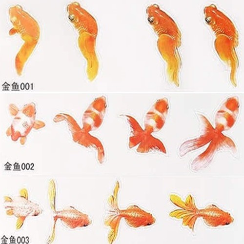 人氣推薦商品與線上折扣優惠 Rs花藝禮坊 不凋花 永生花 乾燥花 蝦皮台灣