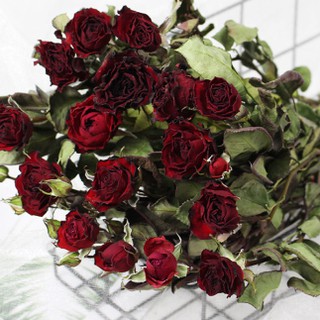 多件優惠 迷你玫瑰乾燥花 乾燥玫瑰 乾燥薔薇 母親節花束 畢業花束 新娘外拍捧花 乾燥花材 鮮花花束 乾燥花束 蝦皮購物