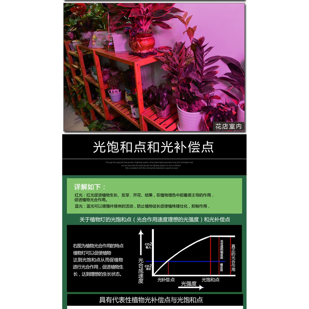 植物生長燈全光譜太陽燈溫室大棚仿太陽燈多肉燈110v 蝦皮購物