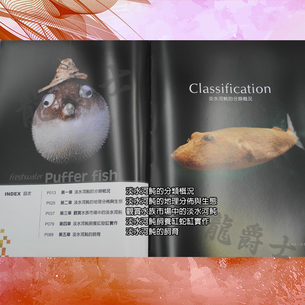 現貨 龍爵士水族 水中泡芙 淡水河豚 書籍 蝦皮購物