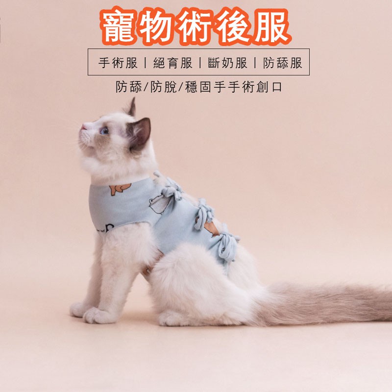 高仿錶貓咪防舔防脫術後服 寵物結紮 貓咪防舔 母貓斷奶 手術護理服 寵物術後服 寵物防舔 貓術後服 I Position 優惠推薦