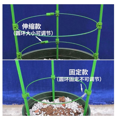 優品 百貨m 室內花的薔薇月季綁棍綁花支柱爬藤架支架固定綠蘿攀爬架園藝用品 蝦皮購物