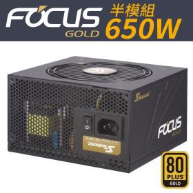 海韻 Seasonic FOCUS 650W 80+金牌 電源供應器 半模組【119PC電腦維修站】2018.3月上市