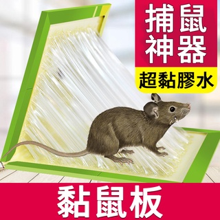 黏鼠板【H033】臺灣出貨 居家 老鼠板 捕鼠器 捕老鼠 老鼠板 老鼠夾 老鼠籠 捕鼠器 抓老鼠 老鼠貼 捕鼠神器