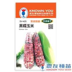 《農友種苗》特選蔬果種子 SV-425黑糯玉米