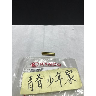 《少年家》KYMCO 光陽 原廠 90033-GFY6-900 8MM 豪邁 魅力 排氣管雙頭牙螺絲 8x32