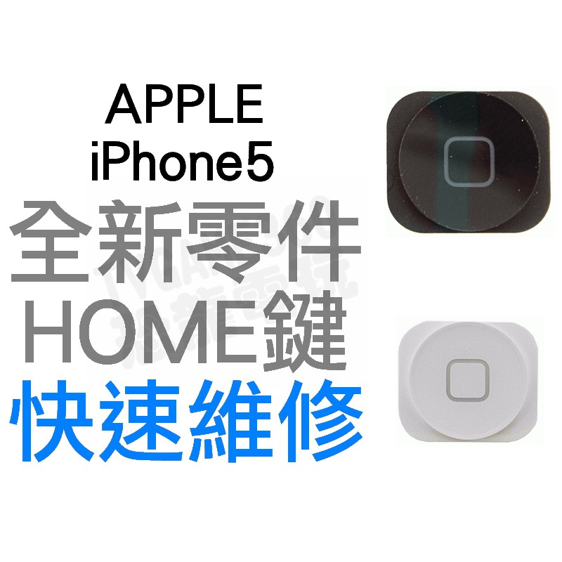 APPLE 蘋果 iPhone5 HOME鍵外蓋 返回鍵 外蓋 手機維修 全新零件 專業維修【台中恐龍電玩】