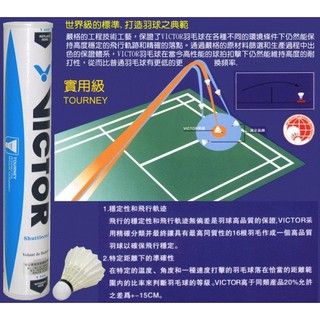 （羽球世家）勝利 Victor 鴨毛球 TOURNEY B-04 實用級 羽毛球種 天然羽毛球