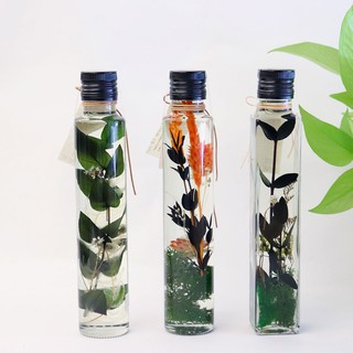 森林的恩賜__植物學浮游花瓶 / 黑蓋方瓶圓瓶