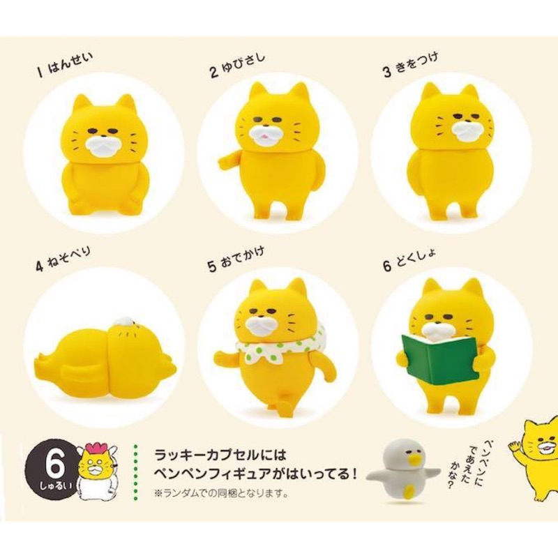 日本 超人氣繪本 工藤紀子 野貓軍團 黃色野貓 跪坐 指 看書 貓咪扭蛋 野貓軍團扭蛋 貓咪公仔 扭蛋 轉蛋