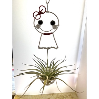 空氣鳳梨的家 吊飾 純手工 空氣鳳梨花架 鋁線創作 晴天娃娃 能放8～10公分內的小空鳳（不含植物）