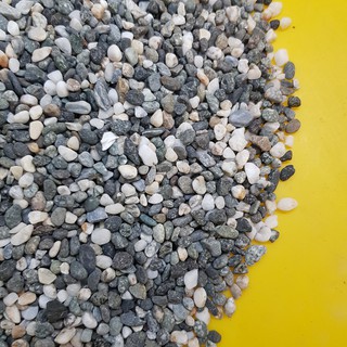 樂魚寶 Ph質穩定7 5 7 8 大磯砂馬倫砂底砂造景孔雀魚水草石沙魚缸 1 5kg 3kg 蝦皮購物