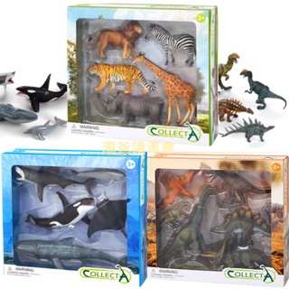🌝collectA 英國高擬真模型(盒裝)：海洋動物禮盒組1(5入)/ 恐龍動物禮盒組(6入)/ 野生動物禮盒(5入)