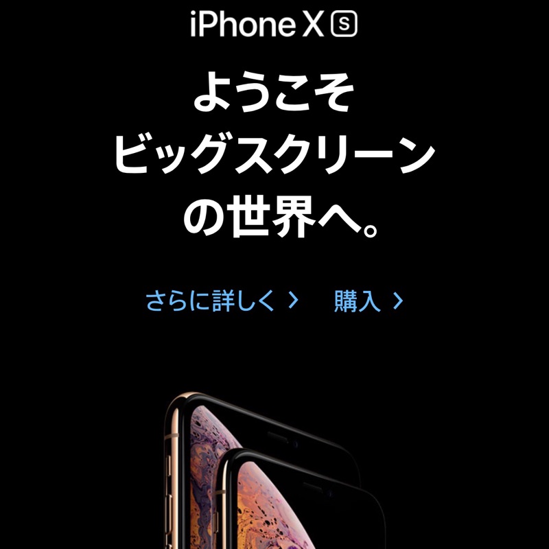 全新 日版 空機 IPHONE Xs MAX 64g 256g