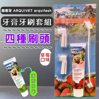 ☀️貓國王波力☀️香甜草莓牙膏100g+牙刷組 西班牙 Arqui Fresh犬 狗 護齒 清潔 ARQUIVET