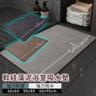 【白色工廠】(臺灣出貨)地毯地墊 浴室防滑吸水地毯地墊 進門地毯地墊 浴室吸水地毯 腳踏墊