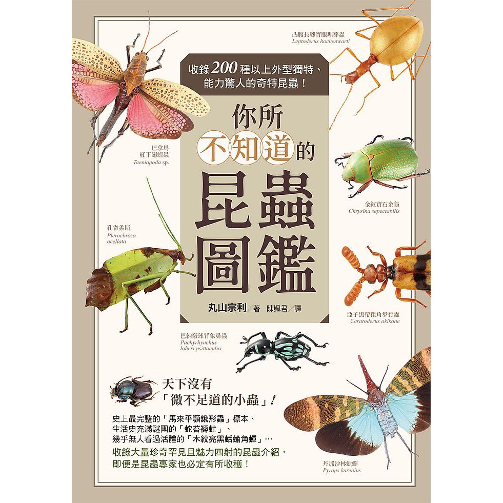 你所不知道的昆蟲圖鑑 收錄0種以上外型獨特 能力驚人的奇特昆蟲 優質 蝦皮購物