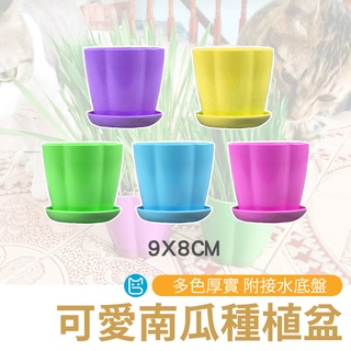 《小貓亂亂買》南瓜種植盆 花盆 種植盆 貓草種植盆 南瓜盆 3吋盆 3寸盆 花盆 盆栽