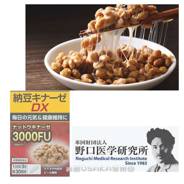 日本 納豆 納豆精 納豆激酶 3000FU 納豆キナーゼ 2024.09