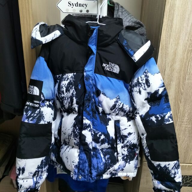 Supreme the north face 雪山羽絨 訂製
