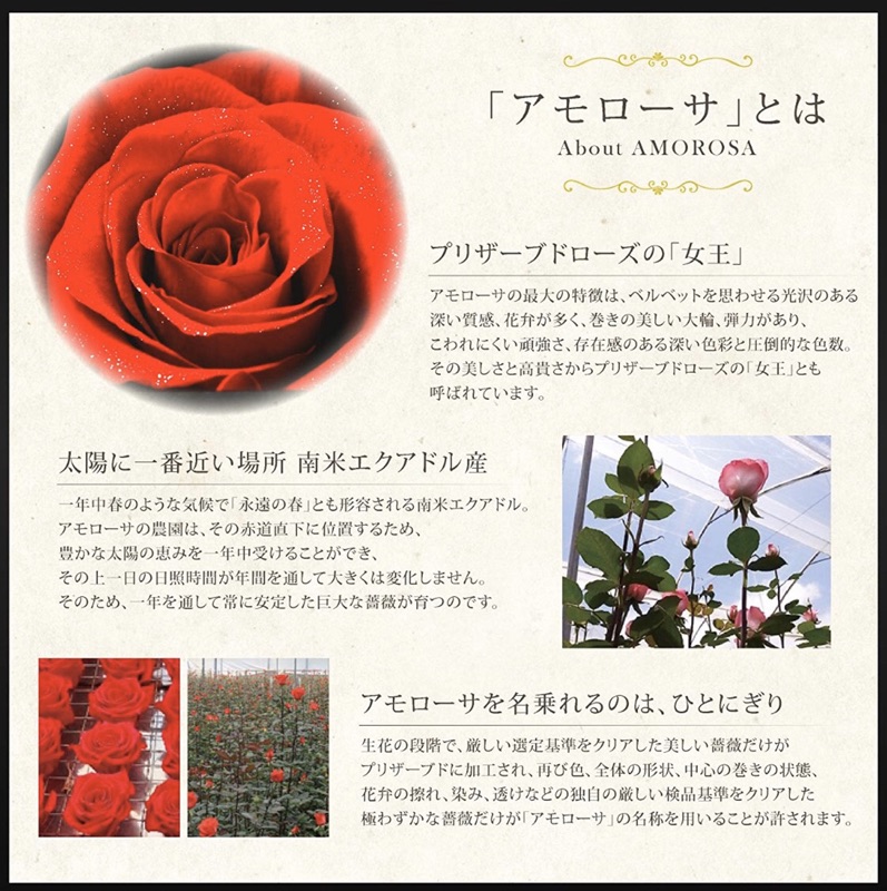 日本施華洛世奇心形女士項鍊禮物包裝套裝禮盒 玫瑰金 附保證書 蝦皮購物