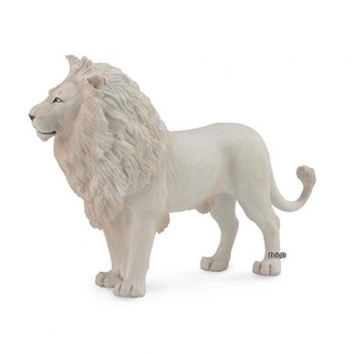 COLLECTA動物模型 - 白公獅 < JOYBUS >