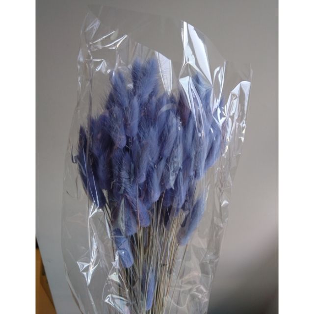 花綻 小豬花屋 乾燥藍色兔尾草乾燥花 手作素材 永生花 蝦皮購物
