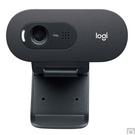 "現貨"羅技Logitech C505e 720P 商務 網路攝影機 USB 辦公會議 遠距教學 內建麥克風 C310