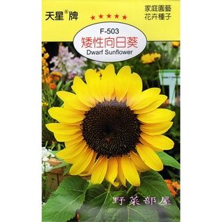 萌田種子 矮性向日葵 大微笑 種子10顆 進口種子 株高30 40公分 花徑15 17公分 適 蝦皮購物