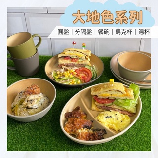 【現貨】日本製 大地色餐具 輕量分隔盤 抗菌 耐摔 盤子 圓盤 飯碗 露營 野餐 EARTH COLOR艾樂屋家居館