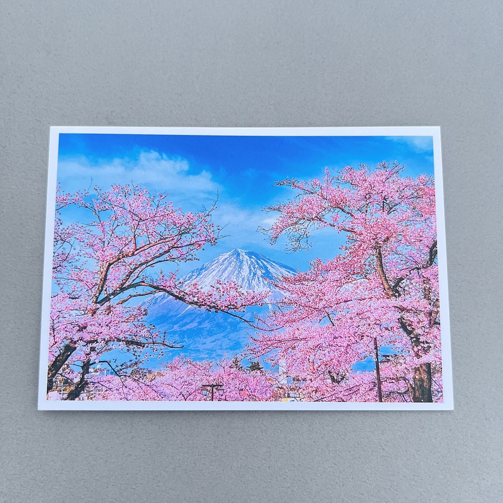 小時光製作所 明信片 日本 富士山 ふじさん Fujisan Fuji mountain 櫻花 SAKURA 卡片 掛畫