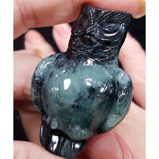 天然緬甸玉A貨翡翠烏雞綠貓頭鷹 鴞 梟 梟雄 智慧 財富 不老 擺件