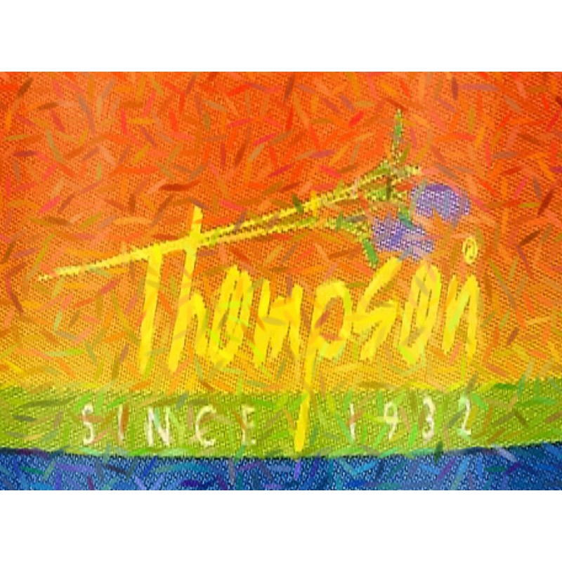 A. DIY網購國外[Thompson 蘆丁/芸香苷 Rutin]                 流程諮詢服務請聊聊