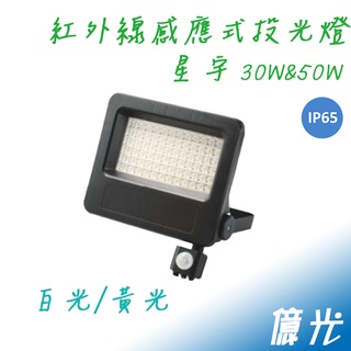 (LS)億光 LED 戶外 IP65 遠紅外線 感應式 投光燈 投射燈 30W 50W 防水防塵 防水感應燈 感應燈